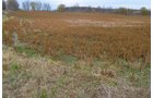 Property photo 24 - 80 Acres & Home - Property Offered in 4 Tracts from 2.3 to 30.0 Acres